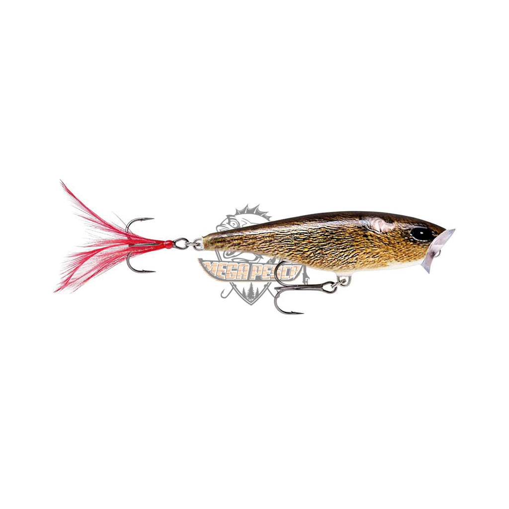 Skitter Pop Rapala