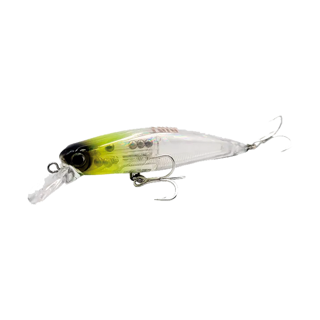 Top Minnow