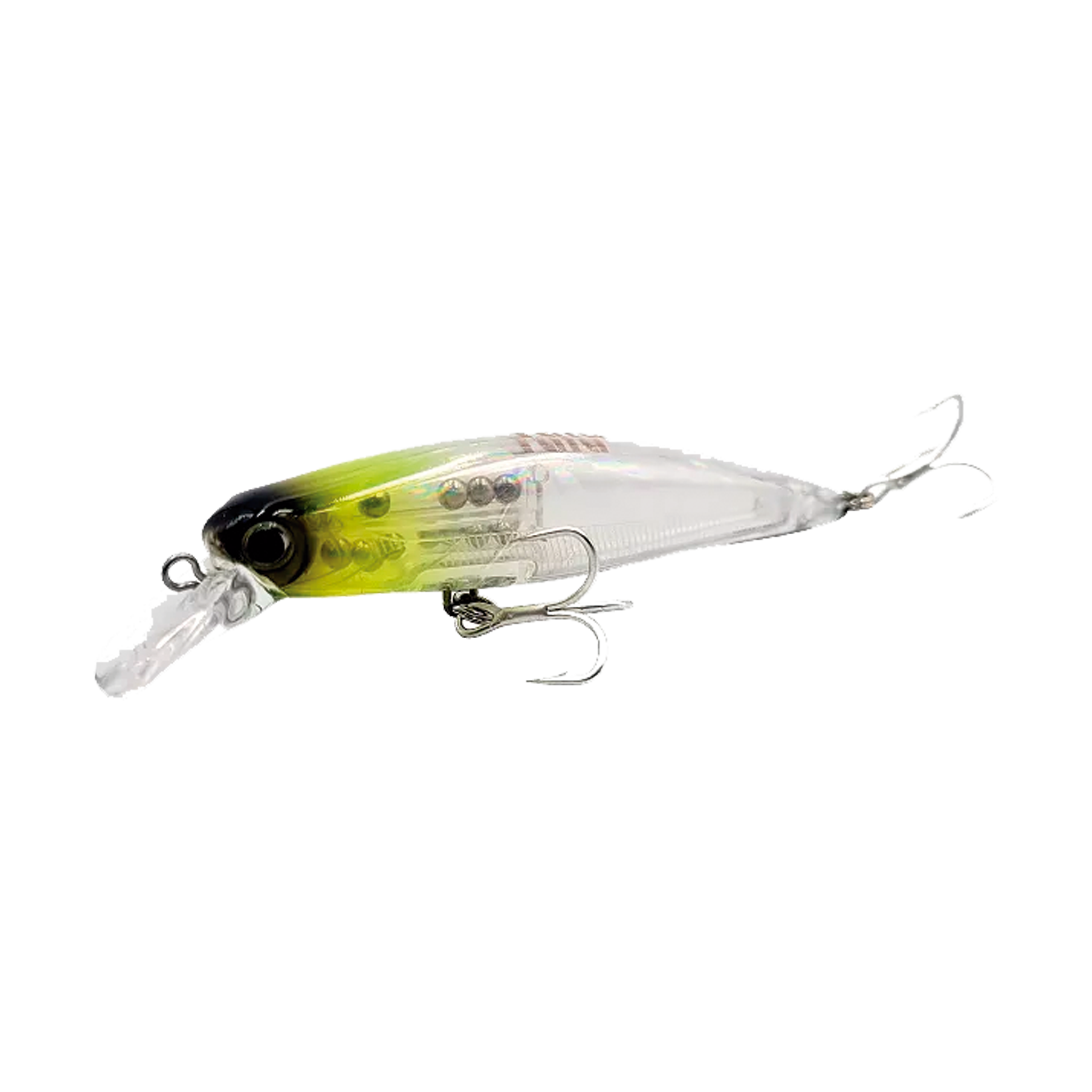 Top Minnow