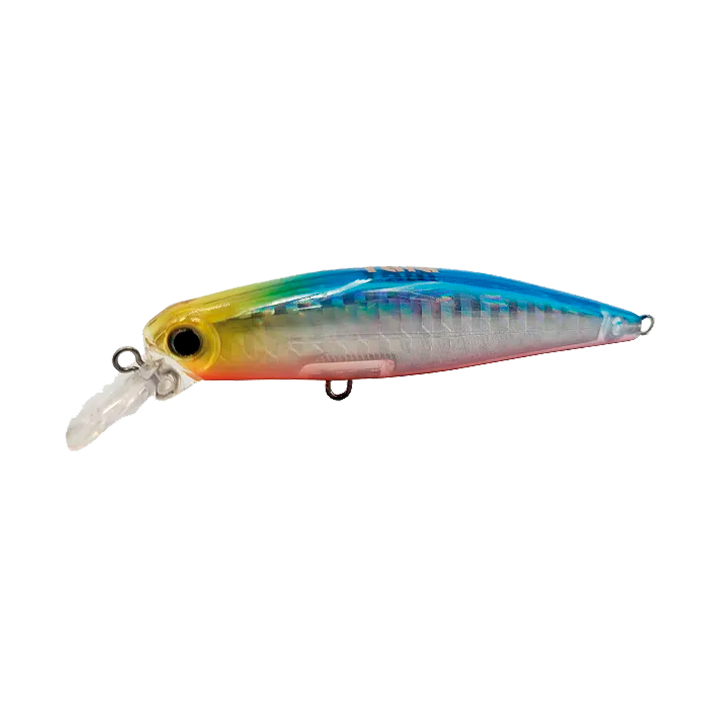 Top Minnow
