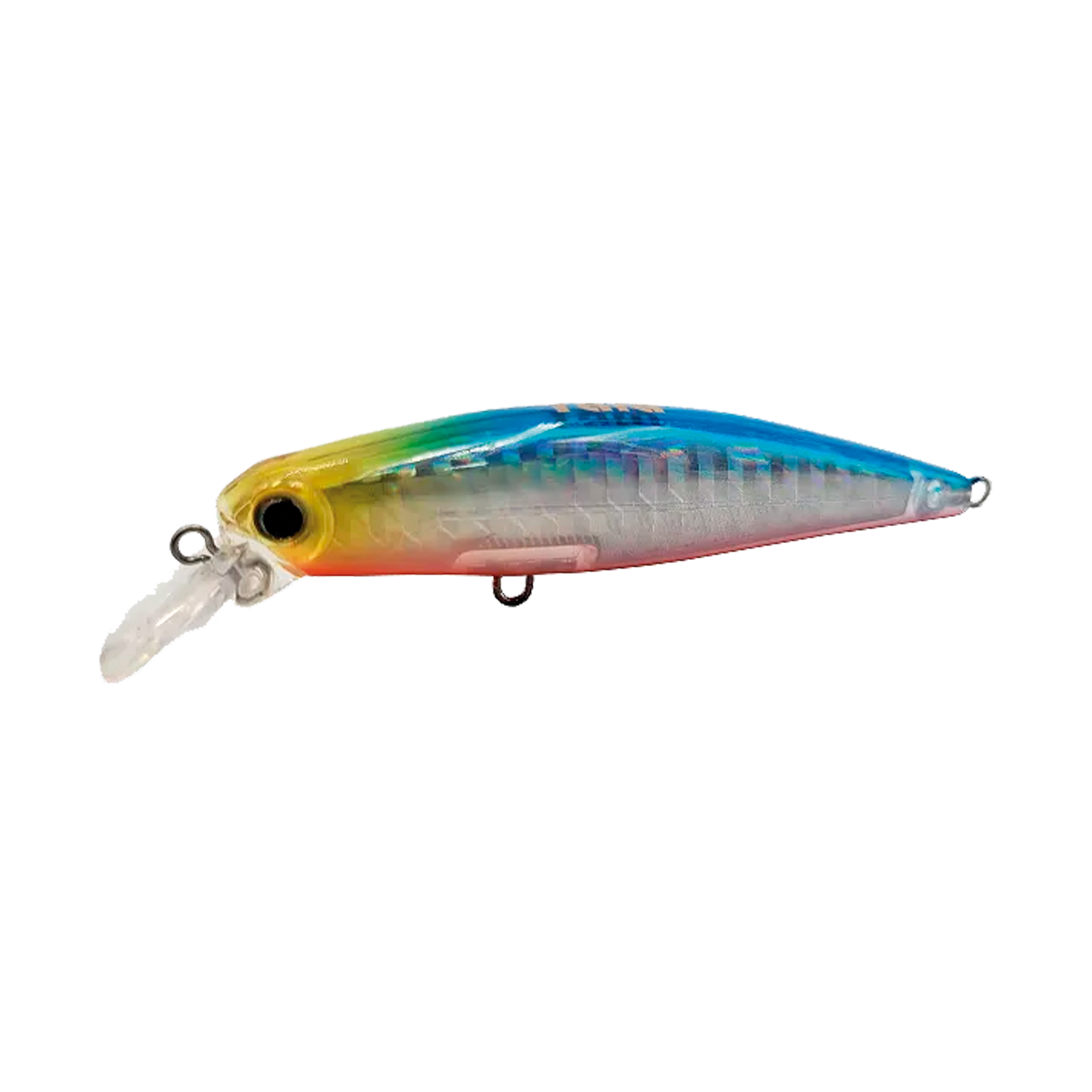 Top Minnow