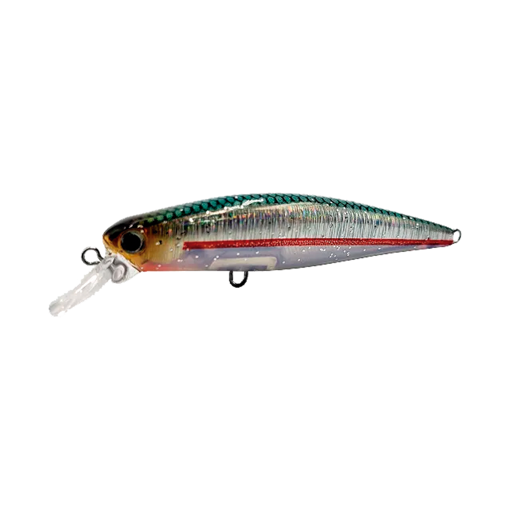 Top Minnow