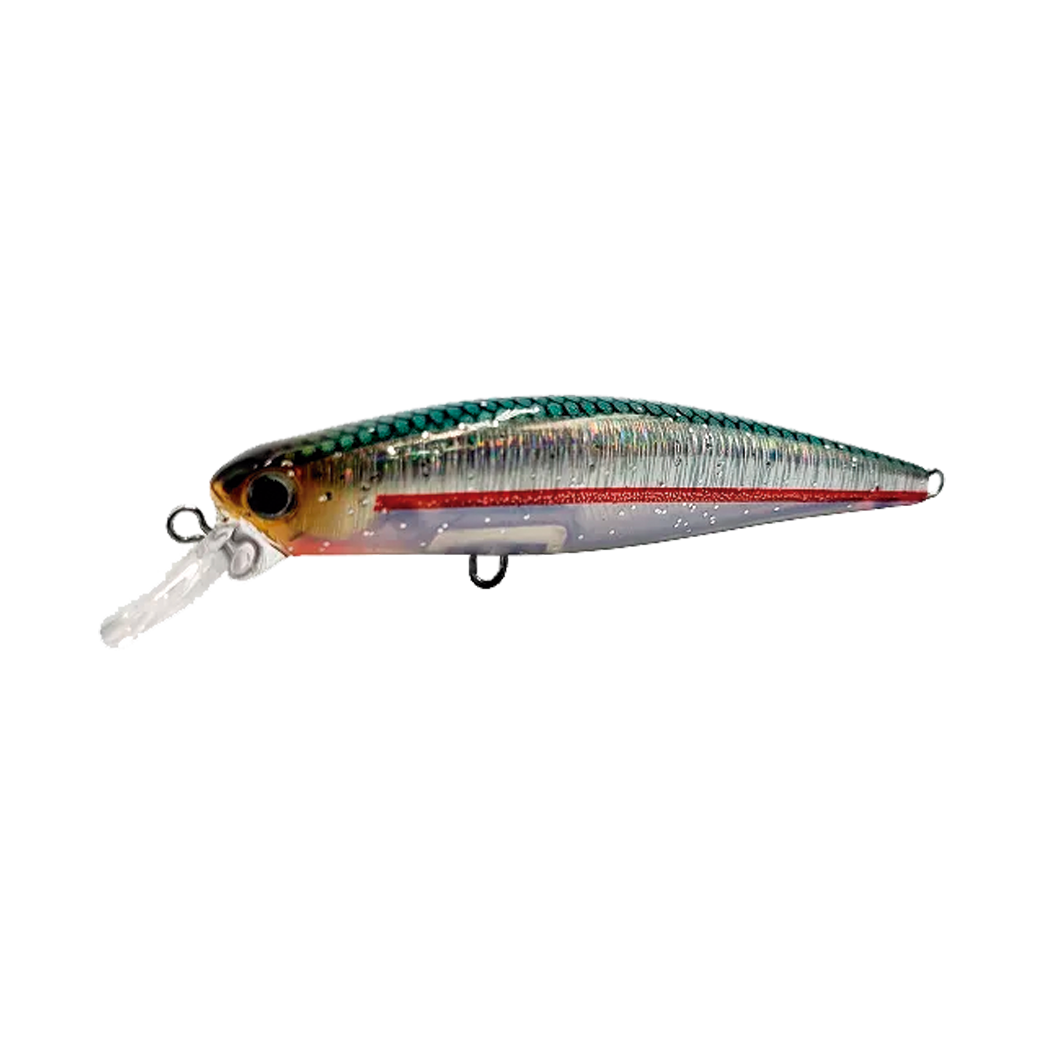 Top Minnow
