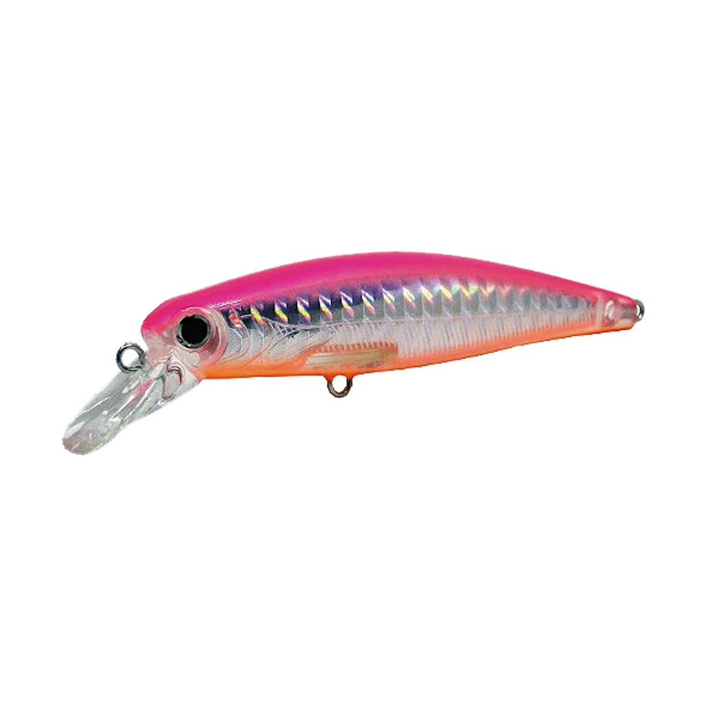 Top Minnow