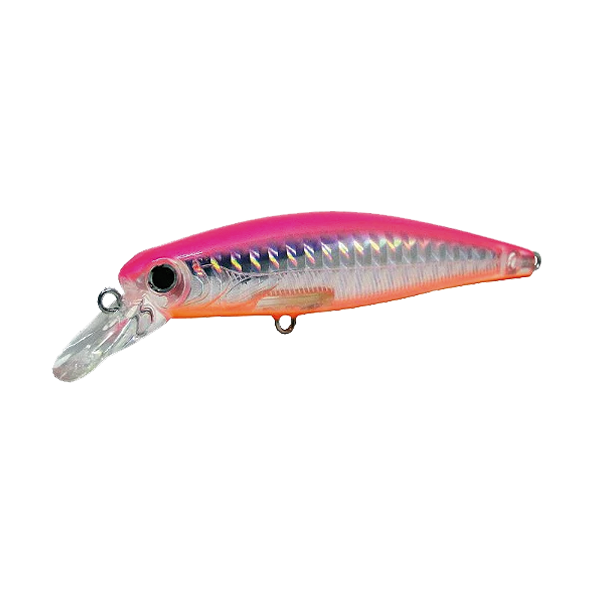 Top Minnow