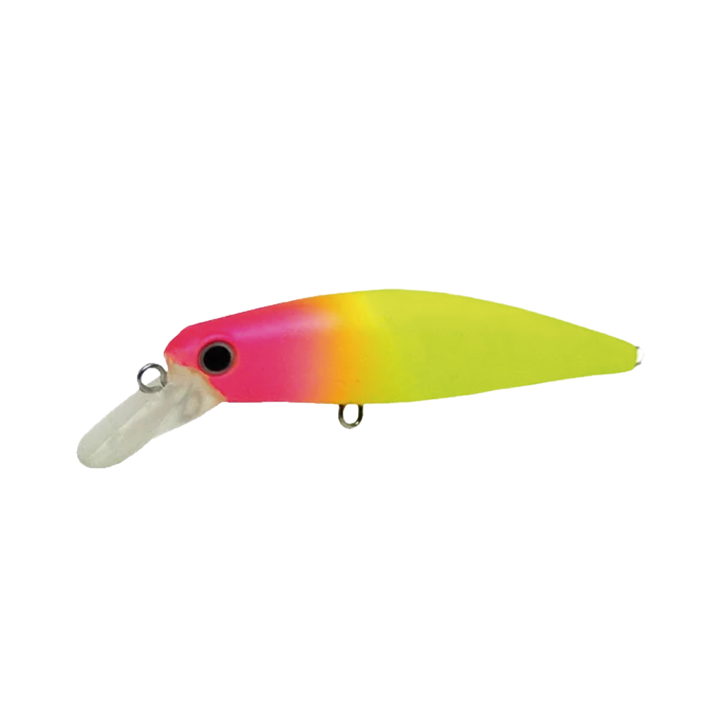 Top Minnow