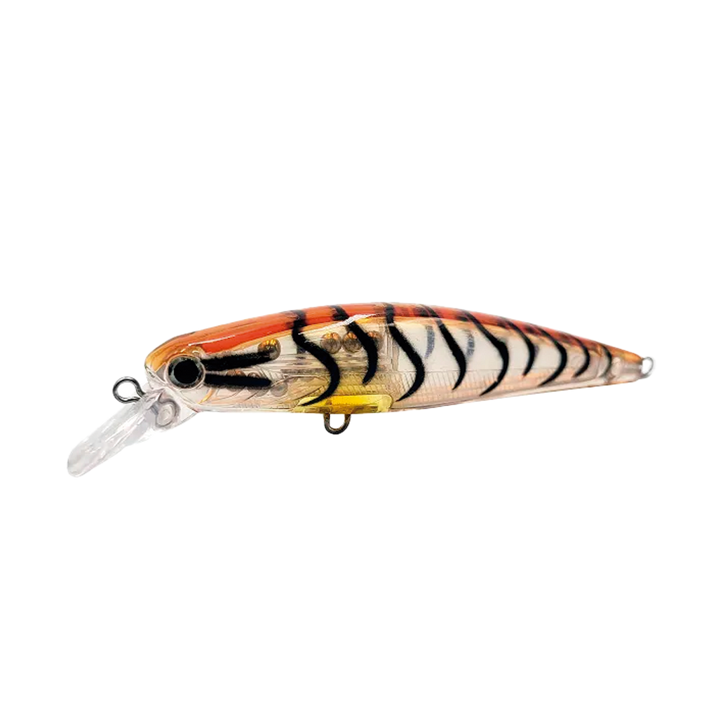 Top Minnow