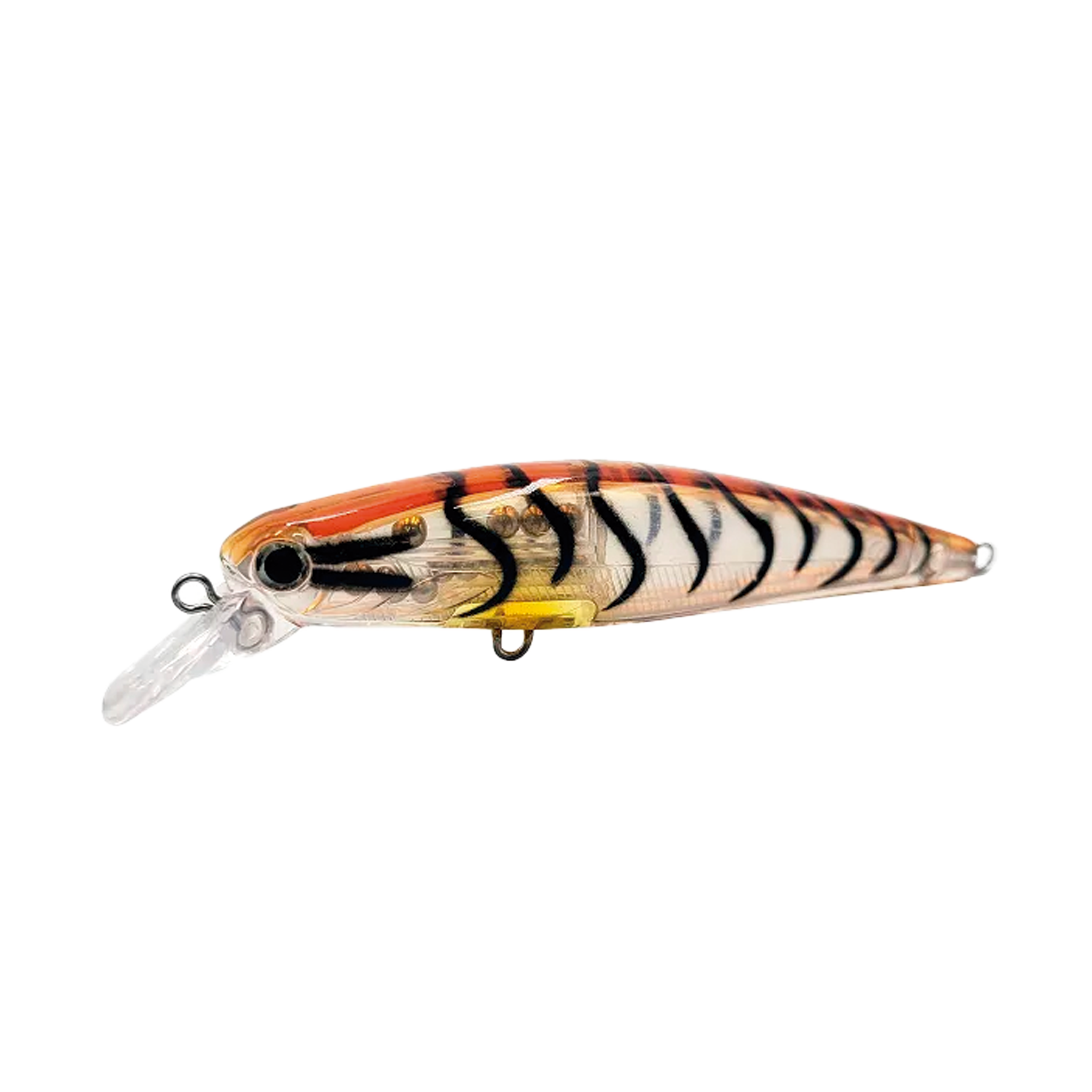 Top Minnow